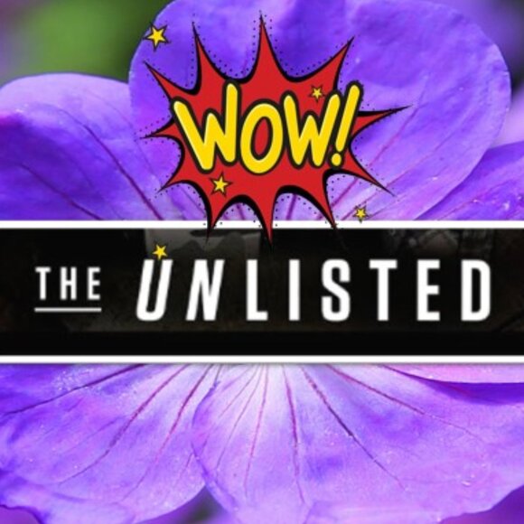 81-100 🎉UNLISTED!🎉Congrats, YOU WON!🎁🩷🥰SAT Oct 18 EST between 5-6pm - Picture 2 of 2